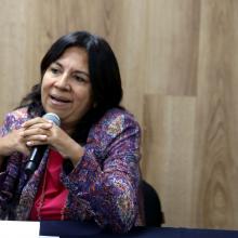 Doctora María Elena Chan, haciendo uso de la voz durante la rueda de prensa