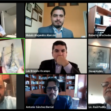 Captura de pantalla de webinario a través de la plataforma Zoom