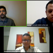 participación de los ponentes durante el webinario