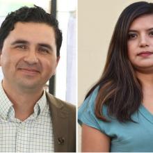 Coordinadores del SMIP