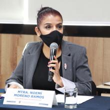 Doctora Rosa Noemí Moreno Ramos, responsable del Programa de Extensión