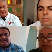 Ponentes durante el webinario
