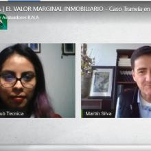 expertos durante el webinario