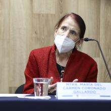 Maestra María del Carmen Coronado durante la rueda de prensa