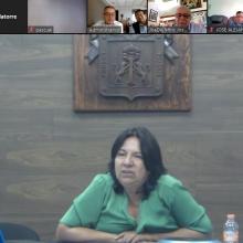 Dra. María Elena Chan Núñez, investigadora de UDGVirtual