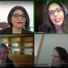 Pantalla de los participantes durante el webinar