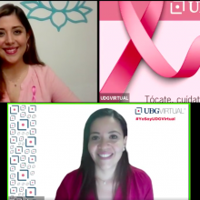 expertas durante el webinario