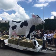 1er Festival Cultural de la Leche en el municipio de San Julián