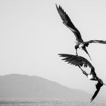 Fotografía ganadora de Joel Peinado