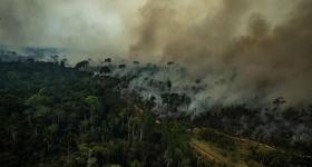 Incendio en la Amazonía