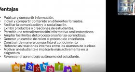 Presentación durante la videoconferencia