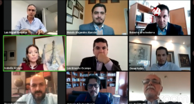 Captura de pantalla de webinario a través de la plataforma Zoom
