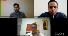 participación de los ponentes durante el webinario