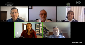 Ponentes webinar
