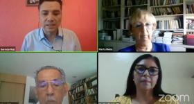 expertos durante el webinario