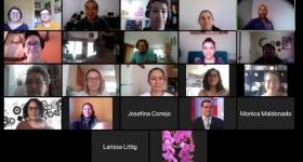 Imagen de pantalla durante webinario