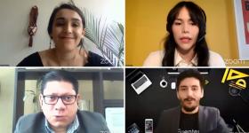 expertos durante el webinario