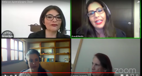 Pantalla de los participantes durante el webinar