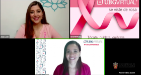 expertas durante el webinario