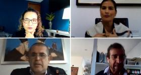 Participantes virtuales durante el seminario