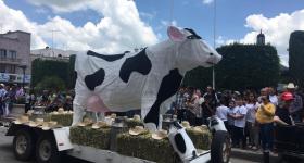 1er Festival Cultural de la Leche en el municipio de San Julián