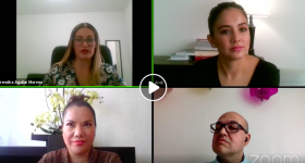 Participantes del webinario 