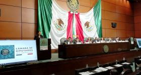 Doctora Carmen Chinas Salazar durante su participación en la audiencia pública para académicos que organizó la Cámara de Diputados 